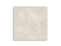 tuintegel Beige 60 x 60 | 494-742 | Jan Groen Tegels