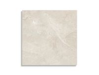 tuintegel Beige 100 x 100 | 399-116 | Jan Groen Tegels