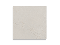 vloertegel Grijs 75 x 75 | 716-909 | Jan Groen Tegels