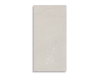 vloertegel Grijs 60 x 120 | 759-534 | Jan Groen Tegels