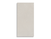 vloertegel Grijs 60 x 120 | 759-534 | Jan Groen Tegels