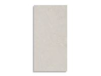 vloertegel Grijs 60 x 120 | 759-534 | Jan Groen Tegels