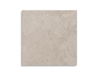 vloertegel Beige 60 x 60 | 267-413 | Jan Groen Tegels