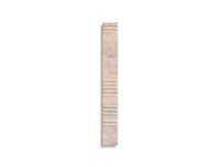 wandtegel Beige 5.5 x 45 | 859-854 | Jan Groen Tegels