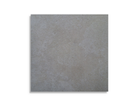 tuintegel Grijs 100 x 100 | 848-245 | Jan Groen Tegels