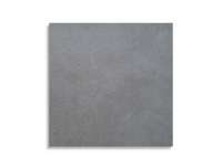 tuintegel Grijs 100 x 100 | 923-360 | Jan Groen Tegels