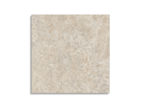 tuintegel Taupe 100 x 100 | 630-382 | Jan Groen Tegels