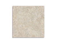 tuintegel Taupe 100 x 100 | 630-382 | Jan Groen Tegels