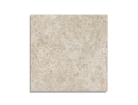 tuintegel Taupe 100 x 100 | 630-382 | Jan Groen Tegels