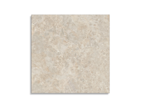 tuintegel Taupe 100 x 100 | 630-382 | Jan Groen Tegels