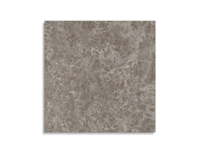 tuintegel Taupe 100 x 100 | 757-987 | Jan Groen Tegels