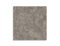 tuintegel Taupe 100 x 100 | 757-987 | Jan Groen Tegels