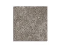 tuintegel Taupe 100 x 100 | 757-987 | Jan Groen Tegels