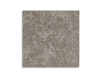 tuintegel Taupe 100 x 100 | 757-987 | Jan Groen Tegels