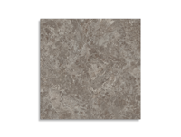 tuintegel Taupe 100 x 100 | 757-987 | Jan Groen Tegels