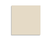 vloertegel Beige 10 x 10 | 712-207 | Jan Groen Tegels