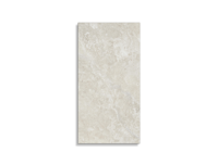 vloertegel STN Perseus Ivory Pulido 37 x 75 | 534-669 | Jan Groen Tegels