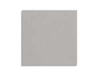 vloertegel Mero by Mosa Echo Cool Grey 60 x 60 (6803M) | 888-188 | Jan Groen Tegels