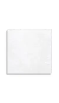 vloertegel Wit 19.8 x 19.8 | 688-570 | Jan Groen Tegels