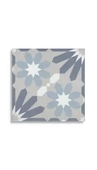 vloertegel Multi 20 x 20 | 255-732 | Jan Groen Tegels