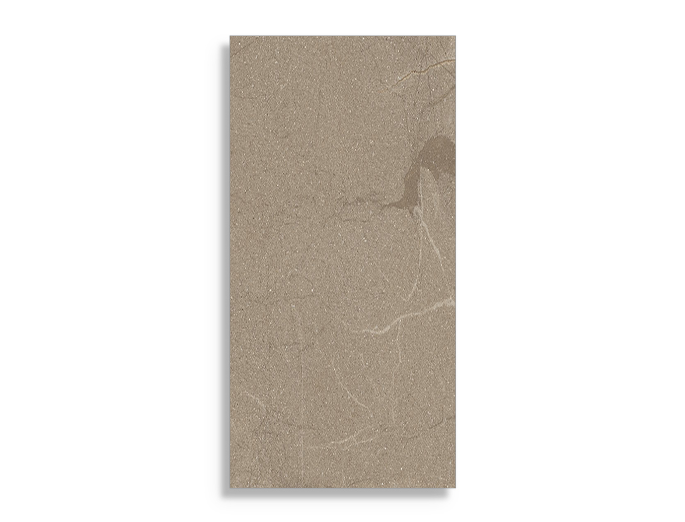 vloertegel Taupe 60 x 120