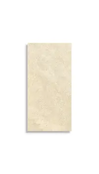 vloertegel Beige 60.4 x 120.8 | 515-062 | Jan Groen Tegels