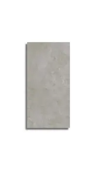 vloertegel Grijs 59.6 x 119.4 | 279-944 | Jan Groen Tegels