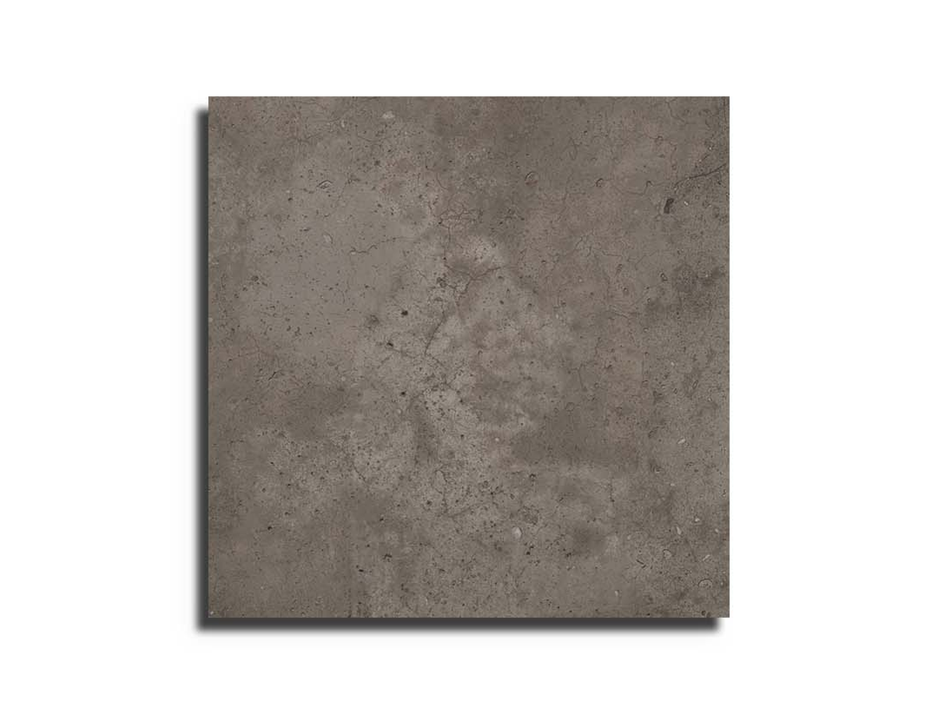 vloertegel Taupe 59.6 x 59.6