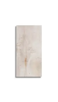 vloertegel Multi 29.7 x 59.6 | 186-240 | Jan Groen Tegels