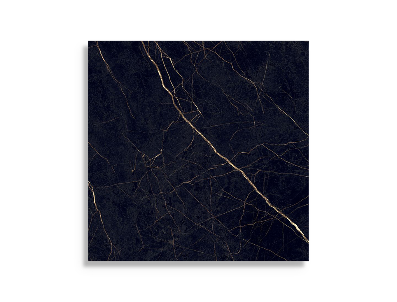 vloertegel Zwart 120 x 120