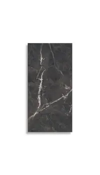 vloertegel Zwart 59.6 x 119.4 | 880-938 | Jan Groen Tegels