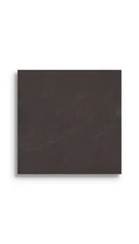 Vloertegel Aleluia Mustang Slate Black Rect 59,2 x 59,2 | 737-532 | Jan Groen Tegels