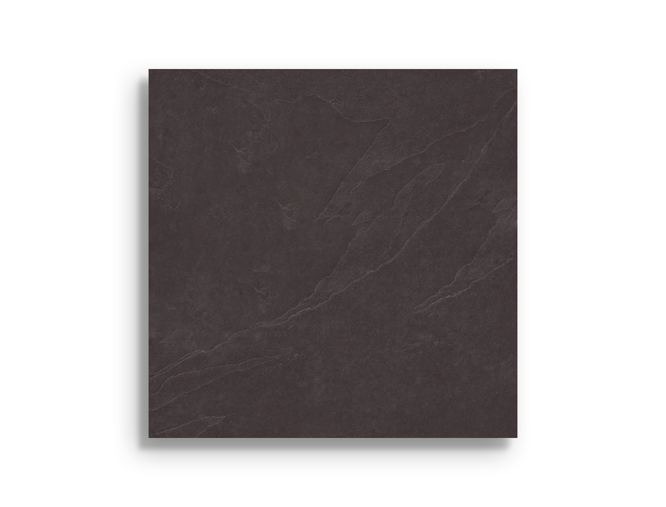 Vloertegel Aleluia Mustang Slate Black Rect 59,2 x 59,2