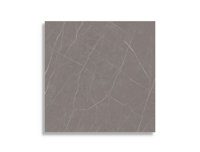 Vloertegel Aleluia Muse Grey Satin Rect 59,2 x 59,2 | 745-622 | Jan Groen Tegels