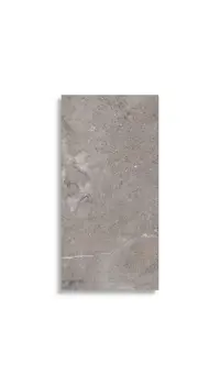 Wandtegel Aleluia Stone Age Grey Shine Ret 29,5 x 59,2 | 945-493 | Jan Groen Tegels