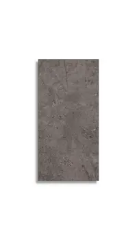 Wandtegel Aleluia Stone Age Anthr Shine Ret 29,5 x 59,2 | 404-416 | Jan Groen Tegels