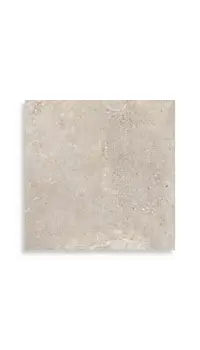 Vloertegel Aleluia Stone Age Greige Ret 59,2 x 59,2 | 738-567 | Jan Groen Tegels