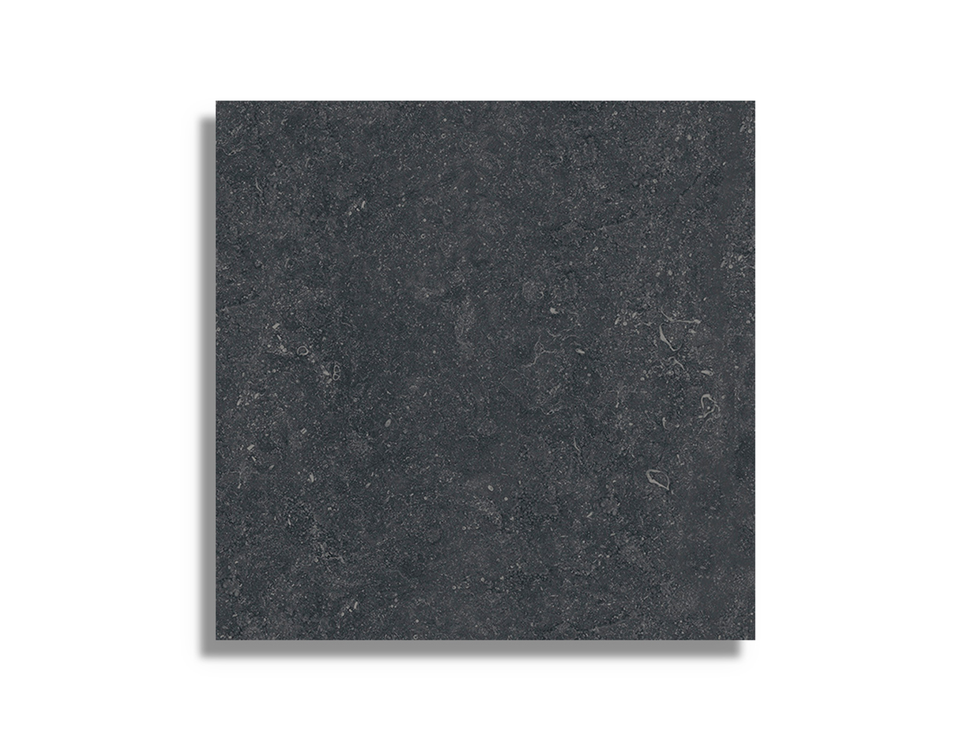 Vloertegel Aleluia Luna Black Rect 59,2 x 59,2