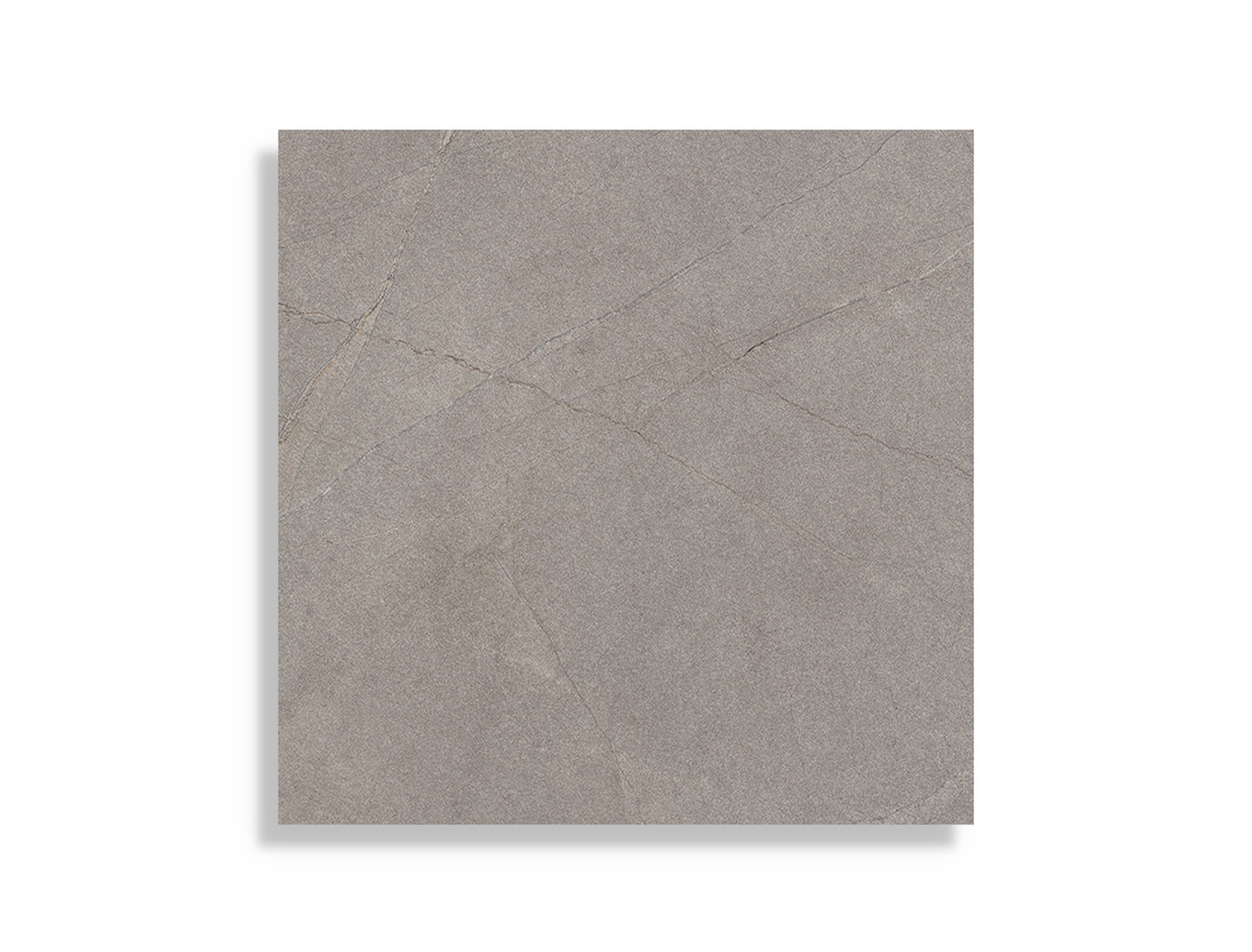 Vloertegel Aleluia Magma Grey Rect 59,2 x 59,2