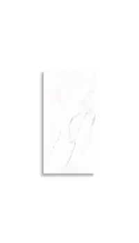 wandtegel Wit 29.7 x 59.7 | 808-033 | Jan Groen Tegels