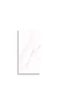 wandtegel Wit 29.7 x 59.7 | 808-033 | Jan Groen Tegels