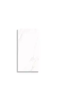 wandtegel Wit 29.7 x 59.7 | 808-033 | Jan Groen Tegels