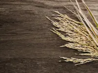 vloertegel Bruin 20 x 120 | 567-214 | Jan Groen Tegels