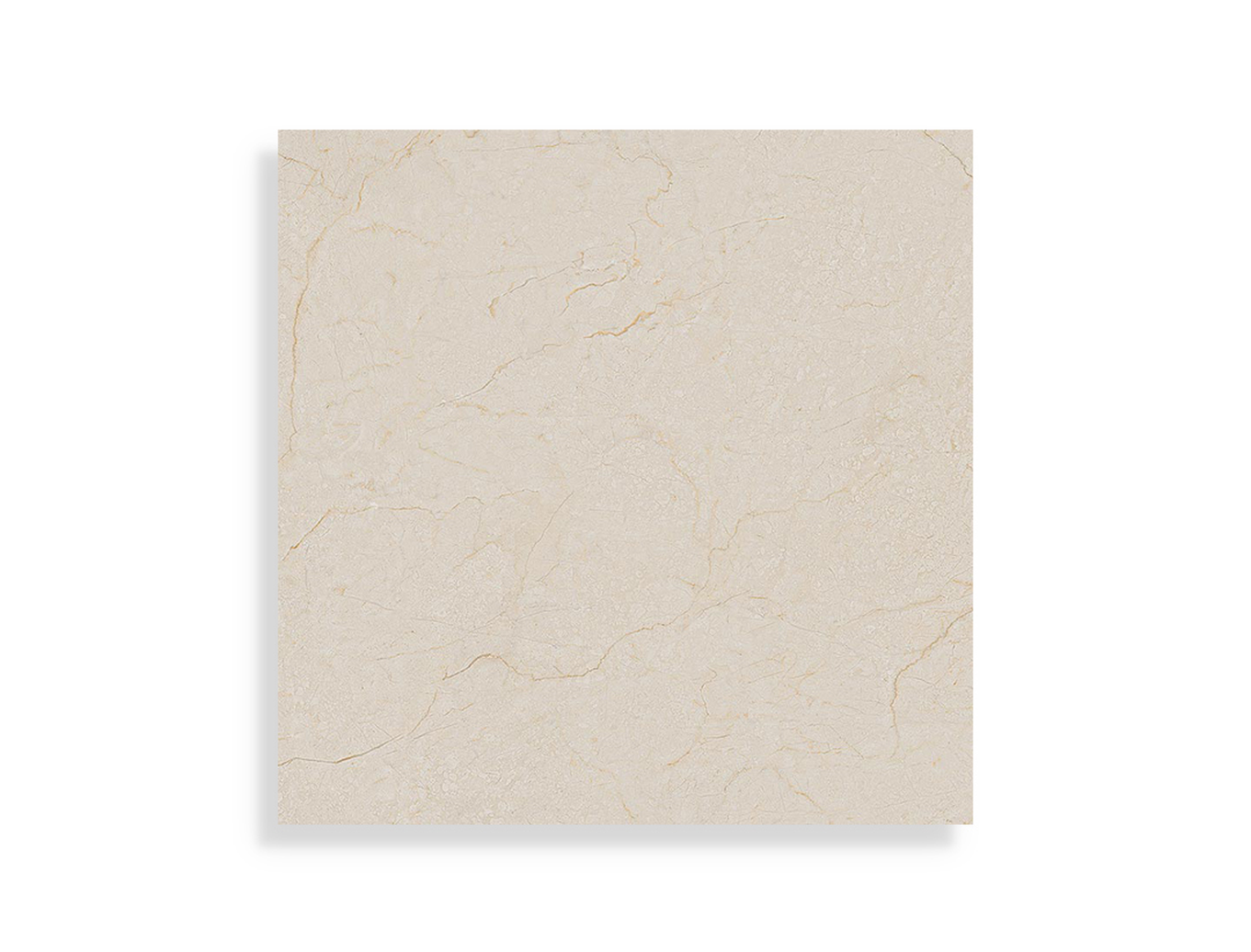 Vloertegel Arcana Cream Dune R 80 x 80