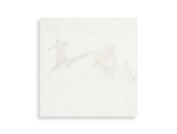 vloertegel Wit 19.7 x 19.7 | 248-795 | Jan Groen Tegels