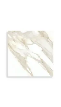 vloertegel Wit 60 x 60 | 862-856 | Jan Groen Tegels