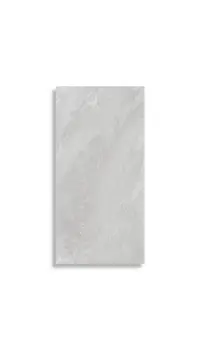 vloertegel Grijs 60 x 120 | 668-846 | Jan Groen Tegels