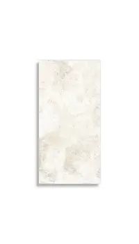 vloertegel Wit 60 x 120 | 649-480 | Jan Groen Tegels