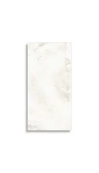 vloertegel Wit 60 x 120 | 649-480 | Jan Groen Tegels