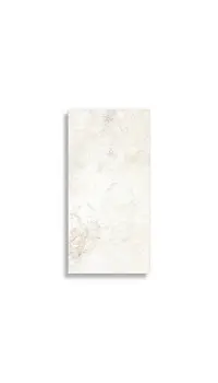 vloertegel Wit 30 x 60 | 176-876 | Jan Groen Tegels